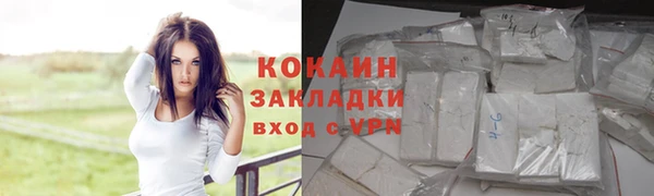 кокс Арсеньев